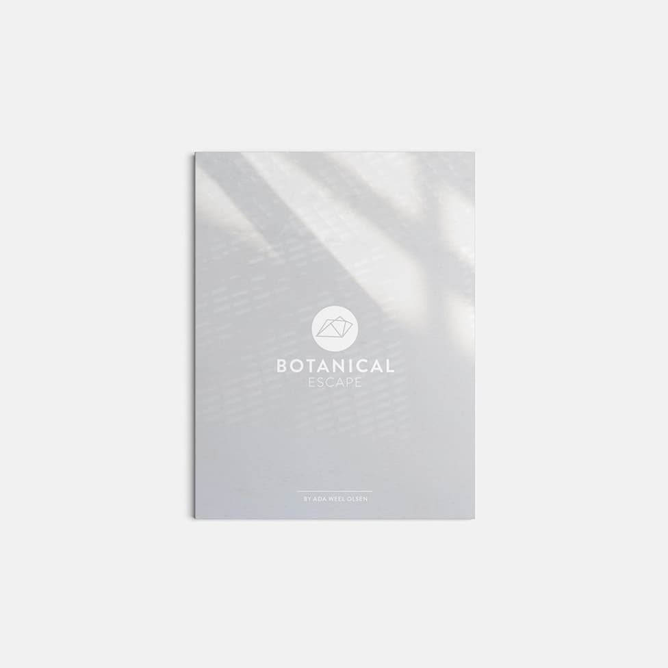 Brand Identity